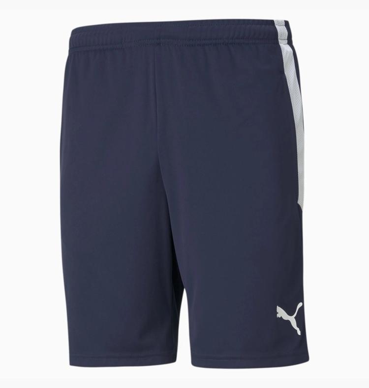 Шорты Puma Teamliga Training Shorts Blue 657249-06, Синий, Размер (EU) - L - #1