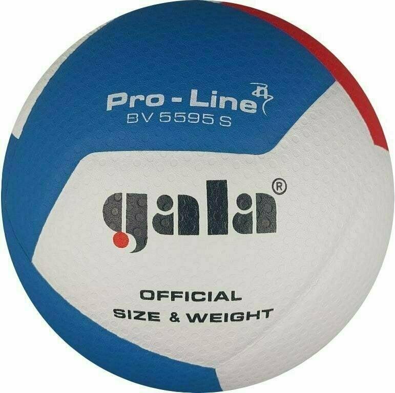 М'яч волейбольний Gala Proine 12 FIVB BV5595S - #1