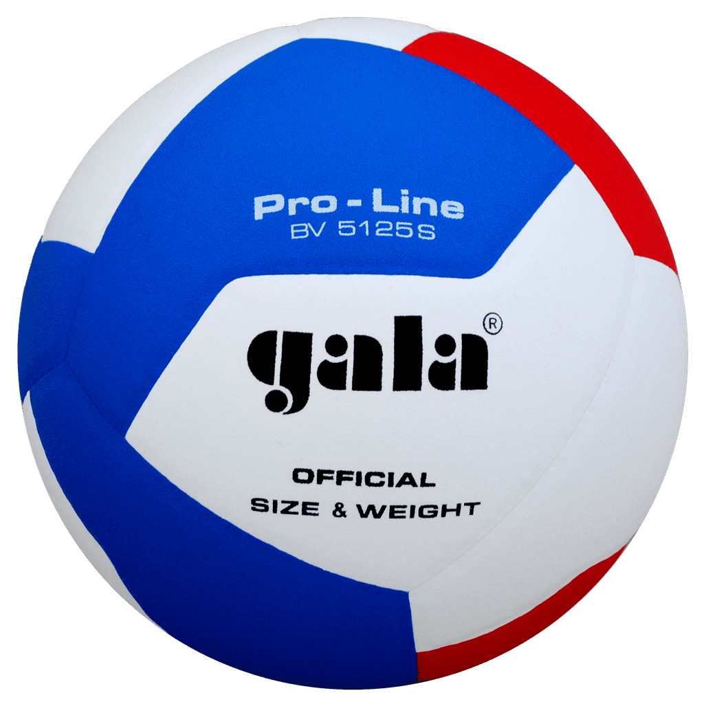 М'яч волейбольний Gala Proine BV5125S - #0