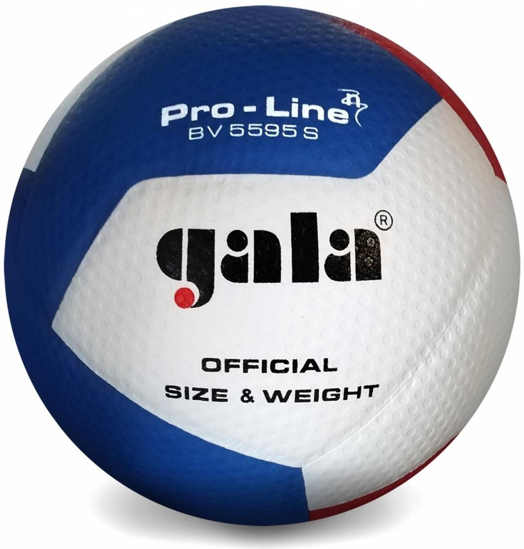 М'яч волейбольний Gala Proine 12 FIVB BV5595S - #0